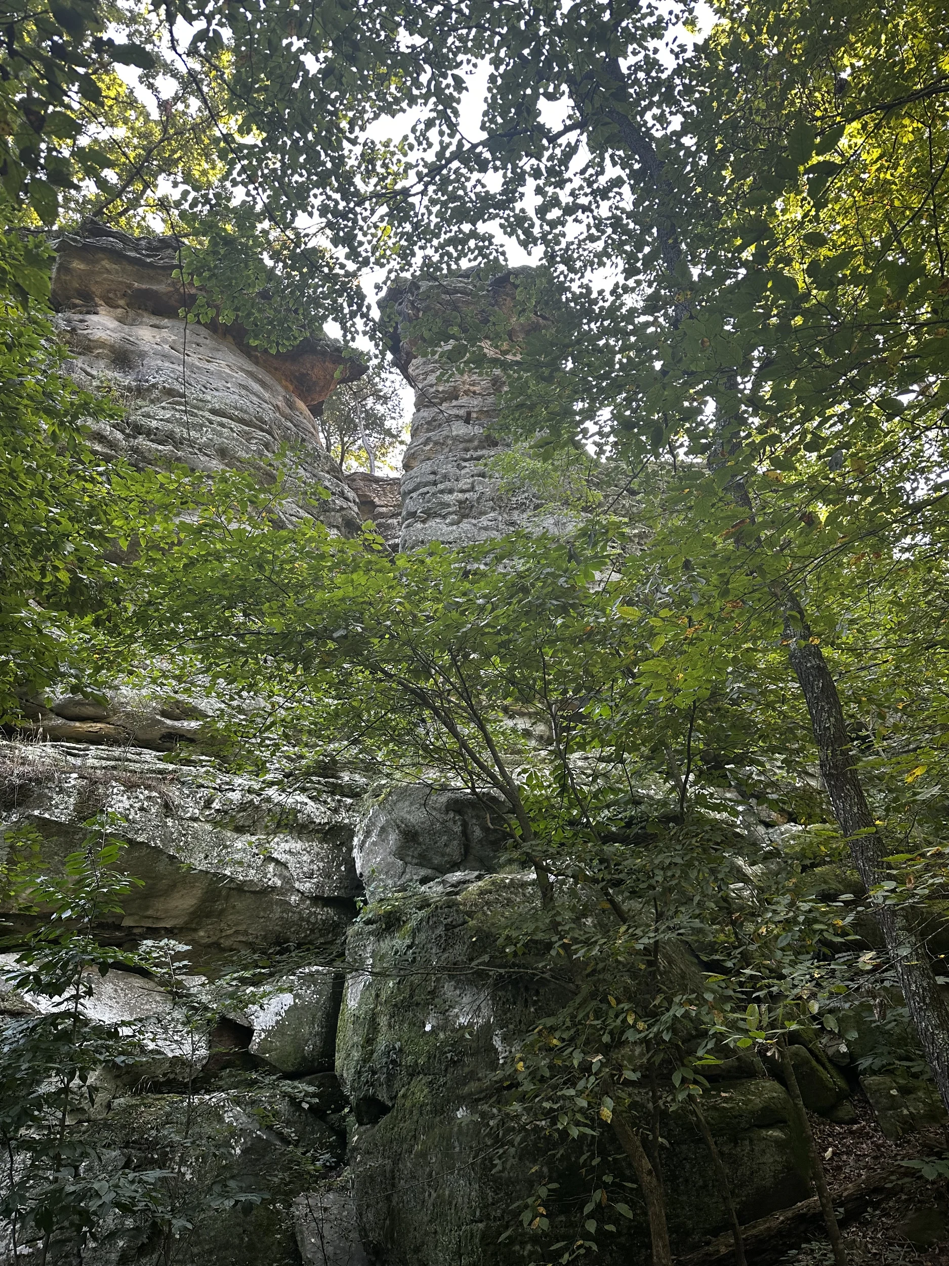 Giant City Devil's Standtable Trail