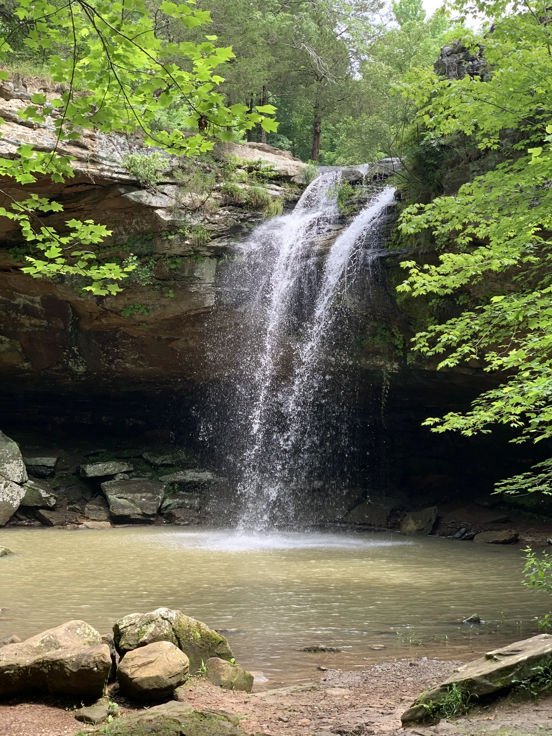 Ferne Clyffe Bork's Falls Trail