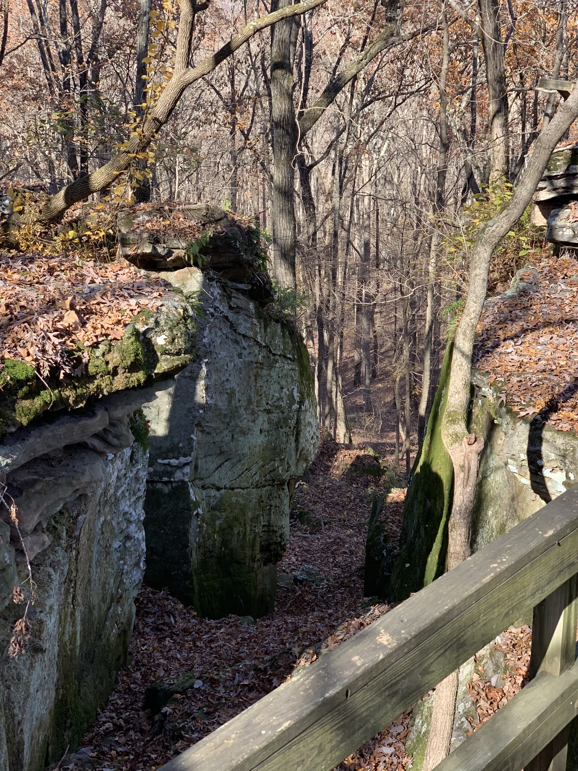 Millstone Bluff Trail
