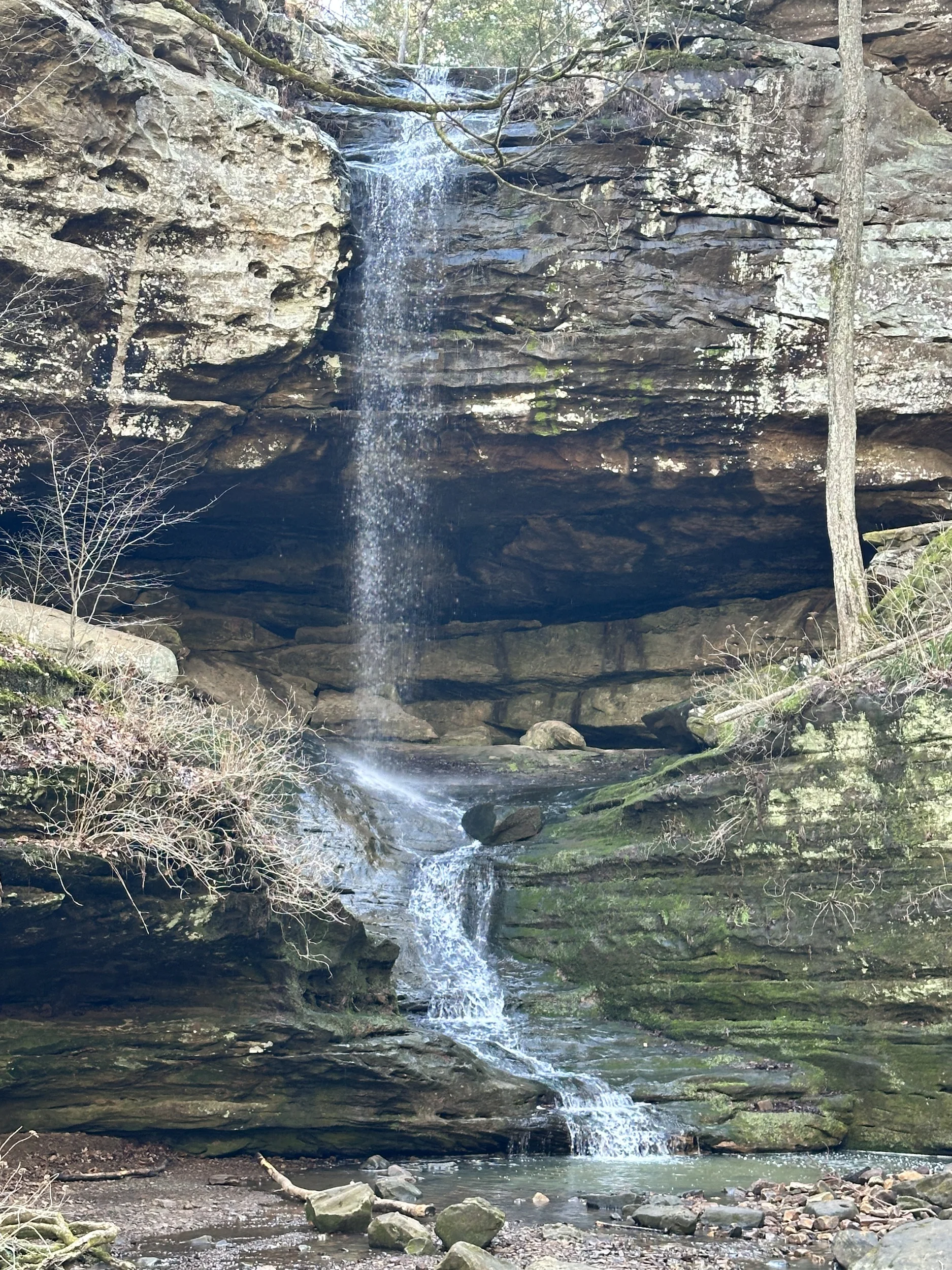 Ferne Clyffe Waterfall Trail
