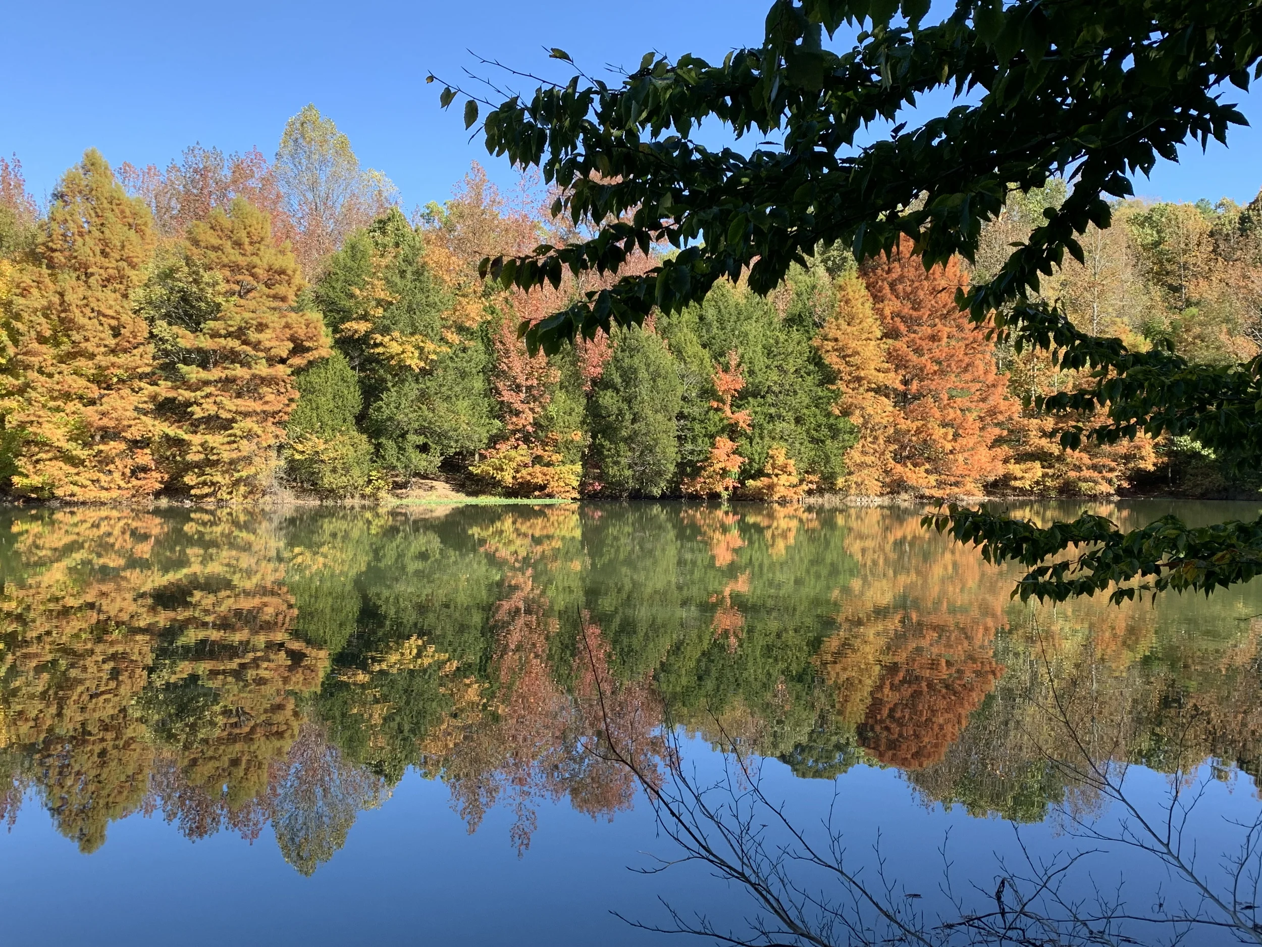 Ferne Clyffe Lake Trail