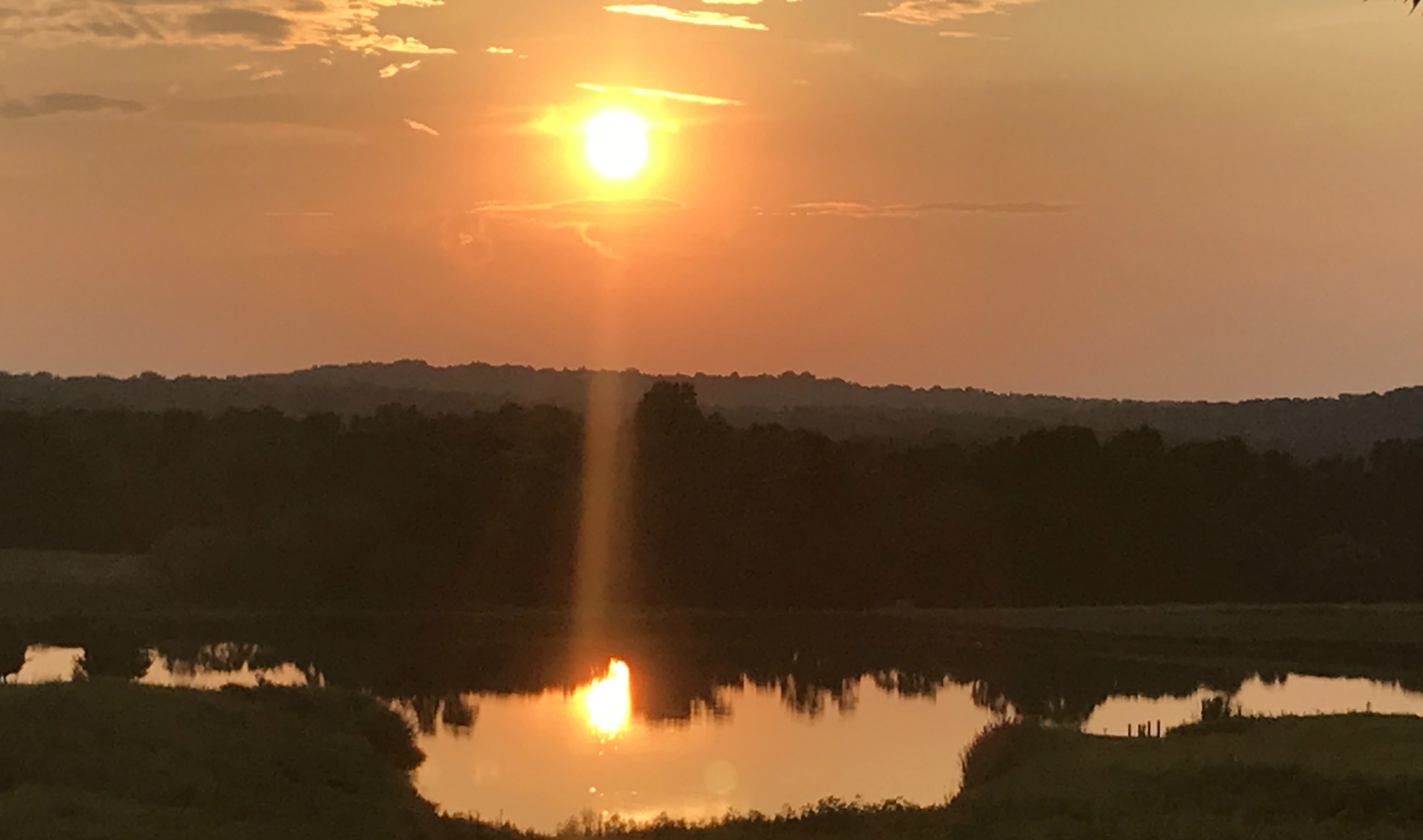 Sunset over winery pond